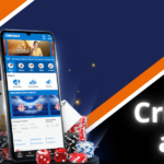 Crickex app: brief review