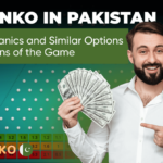 Plinko in Pakistan: Mechanics and Similar Options for Fans of the Game